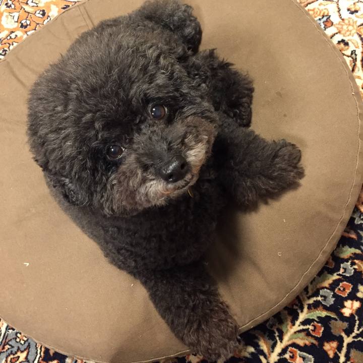 De91e5e7 0150 4d2d a443 6d10758c88e5