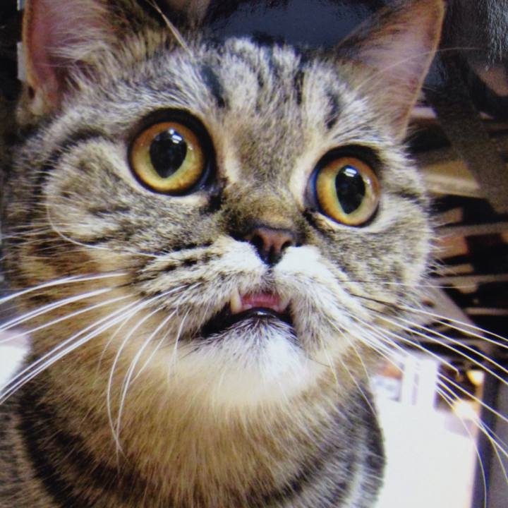 De91fb1a 65ba 478b b82f e82cafef19b8