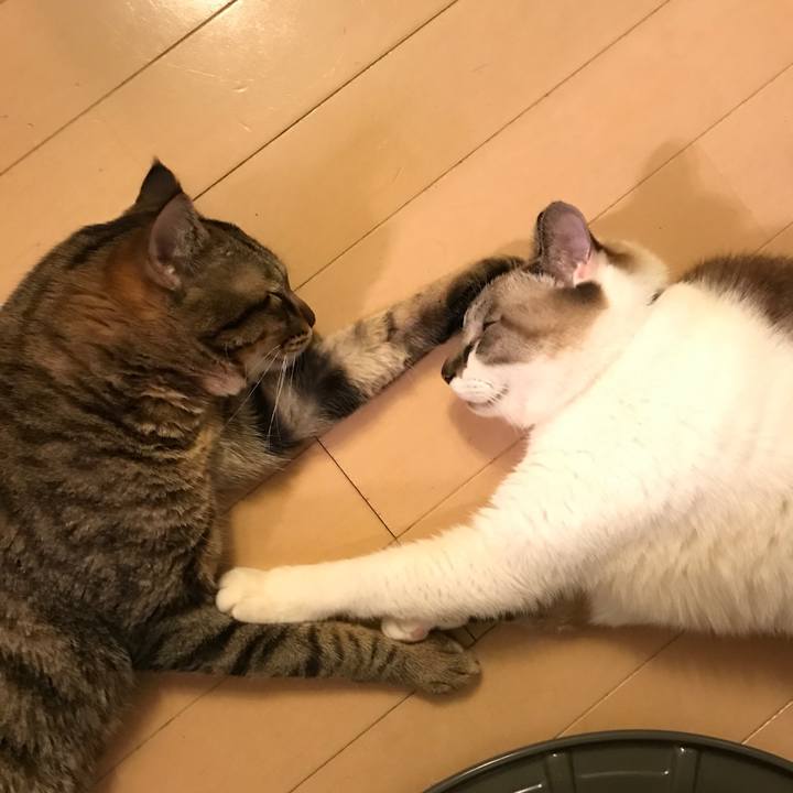 De921289 4df4 417f 84ae aef33b734ef9