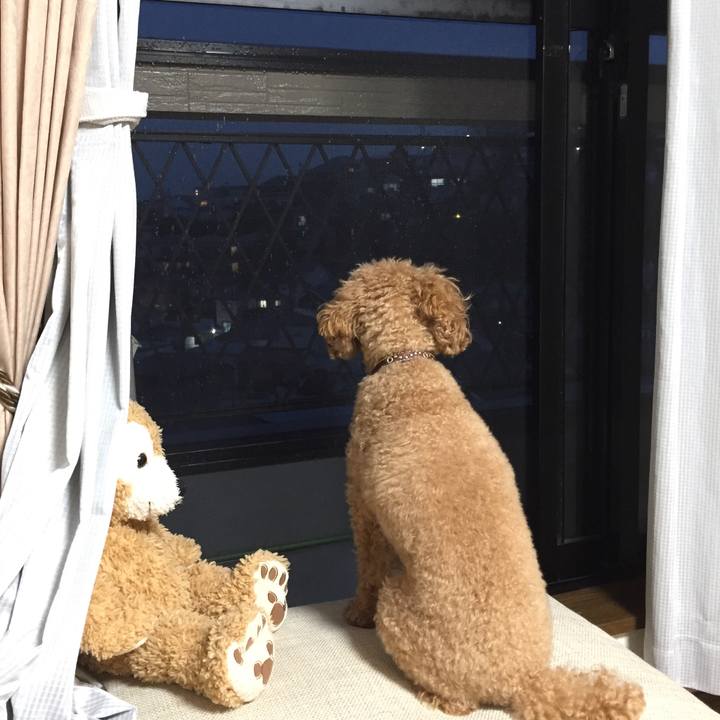 De9221ee 7f31 48aa 9e5c 826247d5a5f3