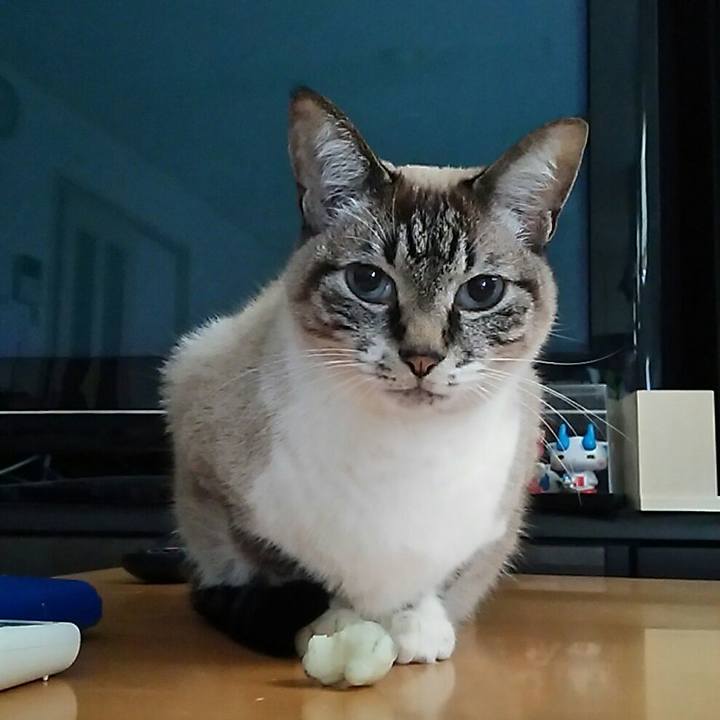 De925f1b c7ef 4dd1 90b9 fbae3a5a96f6