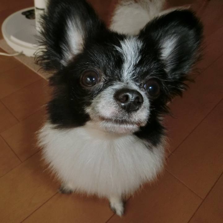 De927ea3 514f 495a a450 293f5e8612ed