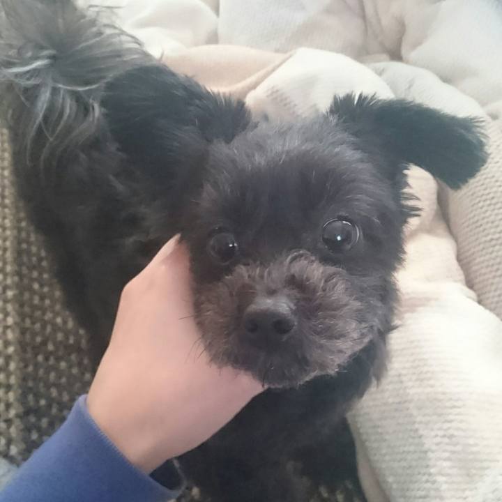 De9296fa 4552 43b9 bc04 7a551d194802