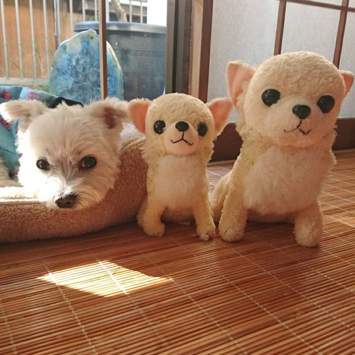 De92b45f c49f 479a abc0 258f5bbc50ea