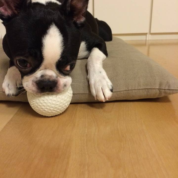 De92cde6 219d 47fd bea5 e86d9dcf7763