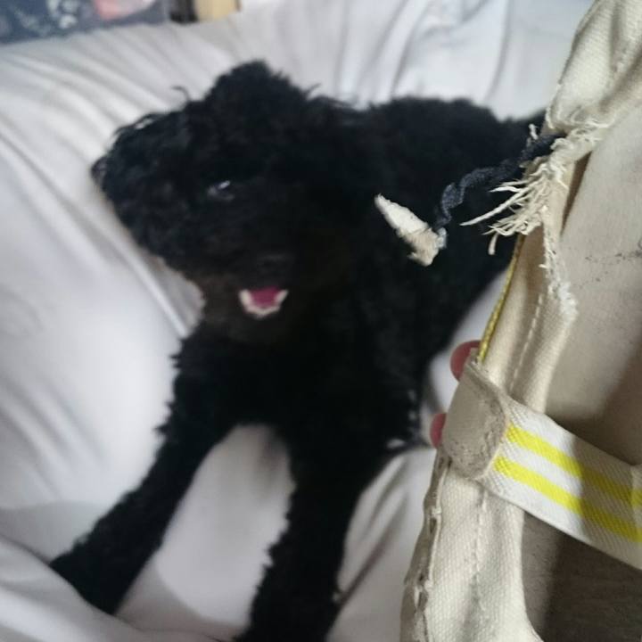 De93df56 f906 470c 9f34 bb12681c5c6c