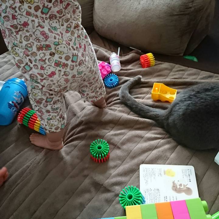 De944c81 d406 4984 aaad 12a1a2767391