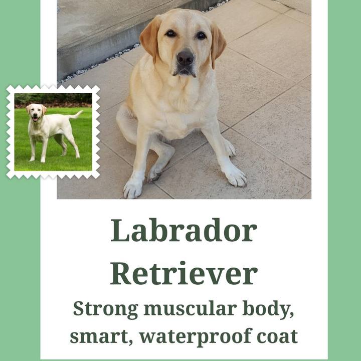 De9486bc c9cb 4dbb 86cf 24cae7834a56