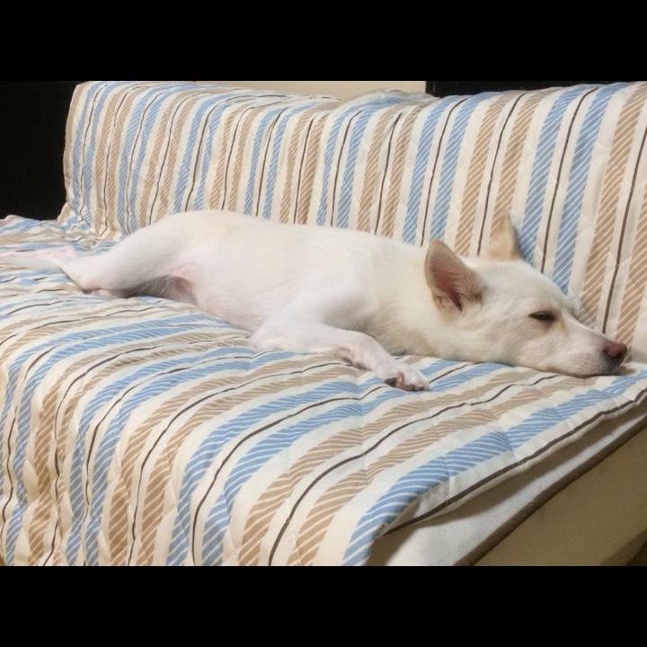 De94a41e 2483 44a9 8106 cbc938d29bbb