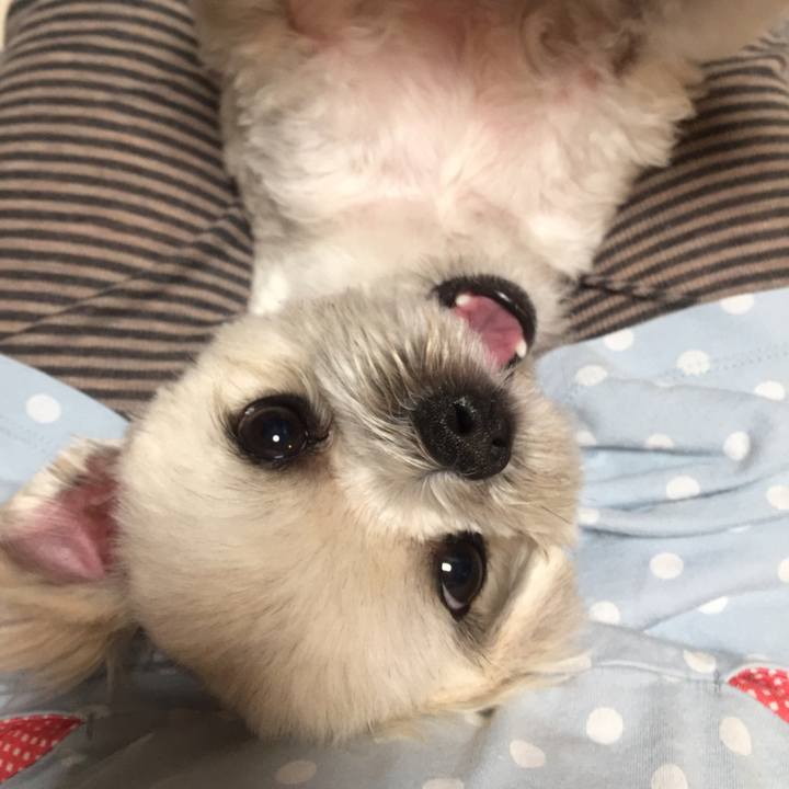 De954cd0 6785 49c8 bd30 53f647de11d4