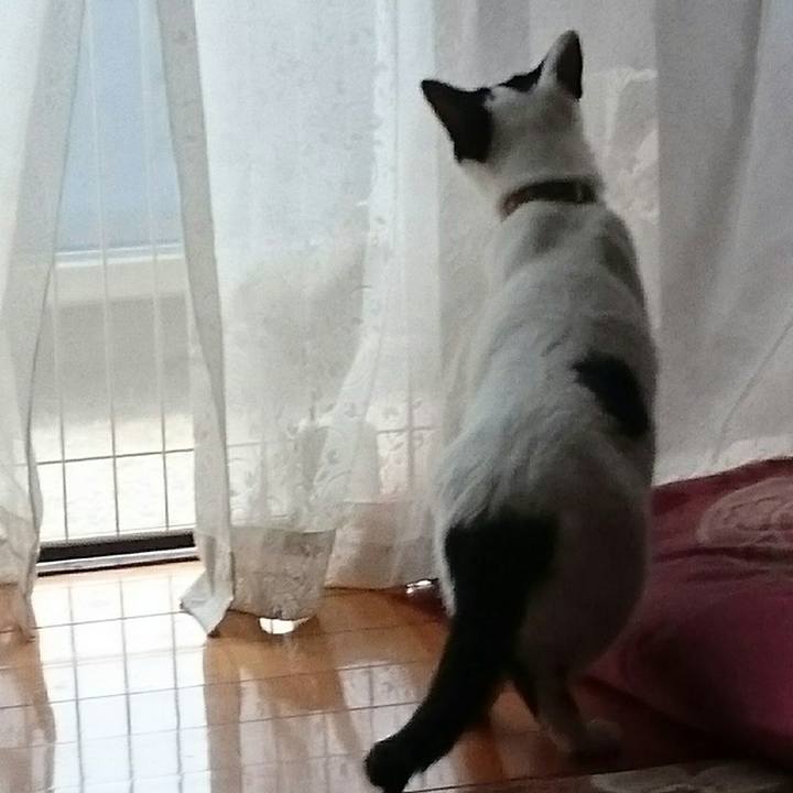 De963749 84da 45e1 bb3d 9de9bd06367b