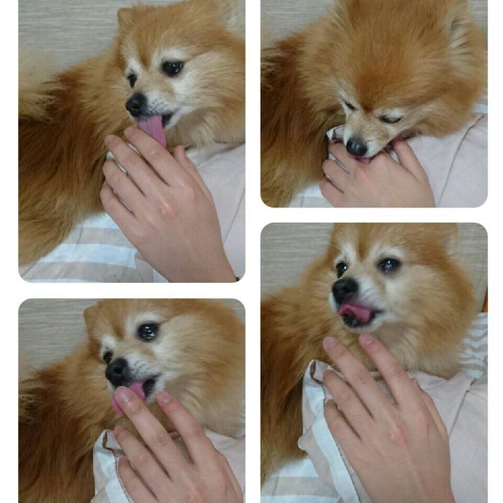 De97520d 842f 4608 8f38 0892c7b1a36d