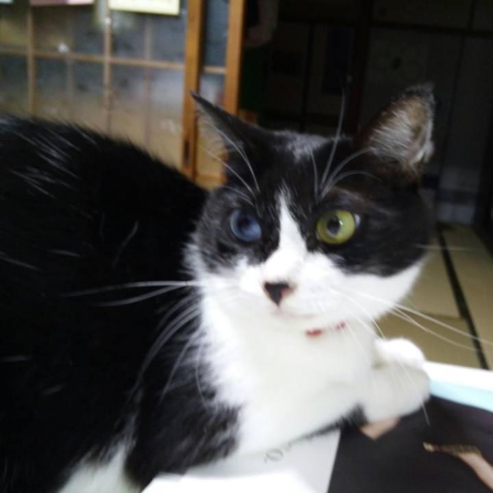 De97b667 7cd9 449c b2a3 264027ec5a2b