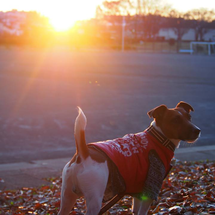 De97c8bb 071c 4b45 a786 d85b1edb9f26