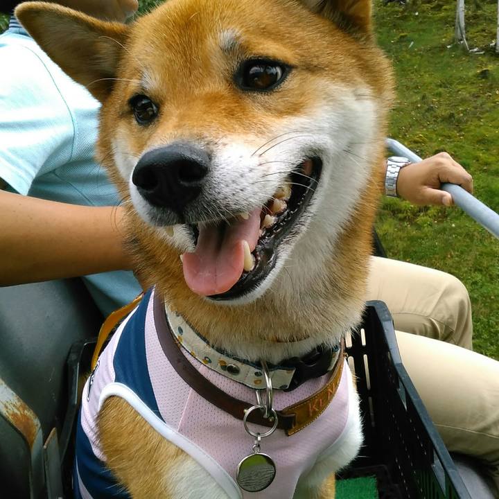 De98b14c 863d 4bb1 b712 409316487967