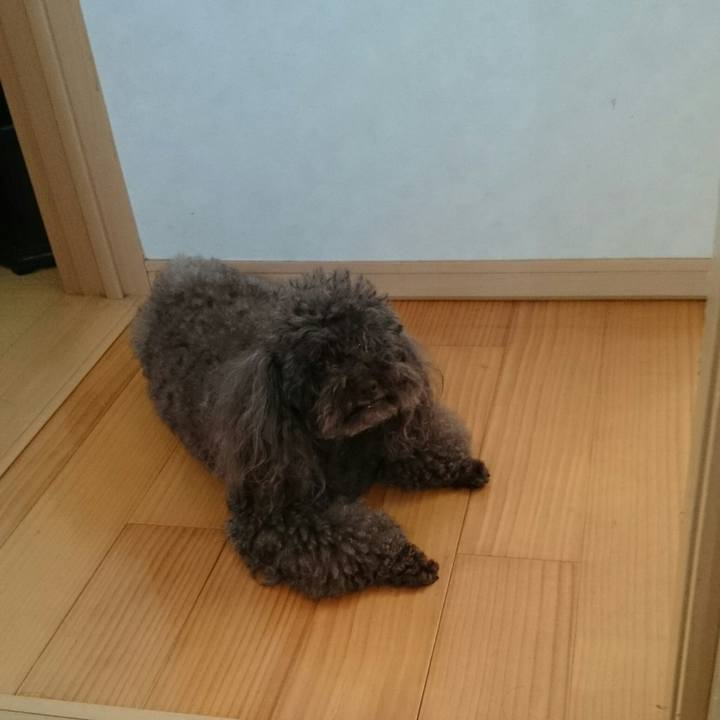 De98f5fe d943 4321 9870 e1b503eb5280