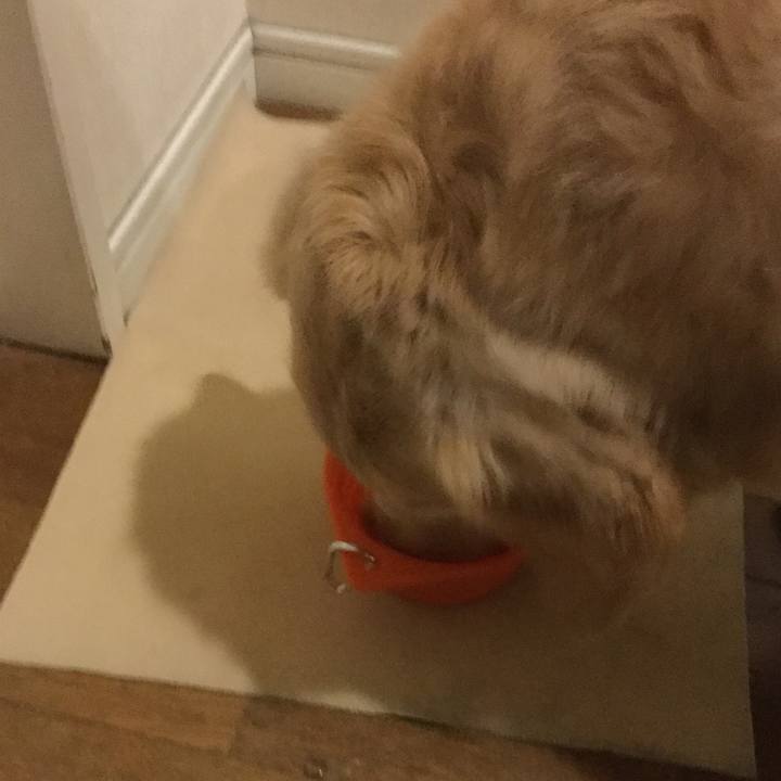 De991f40 ae37 4a9f bc77 5208274521b7