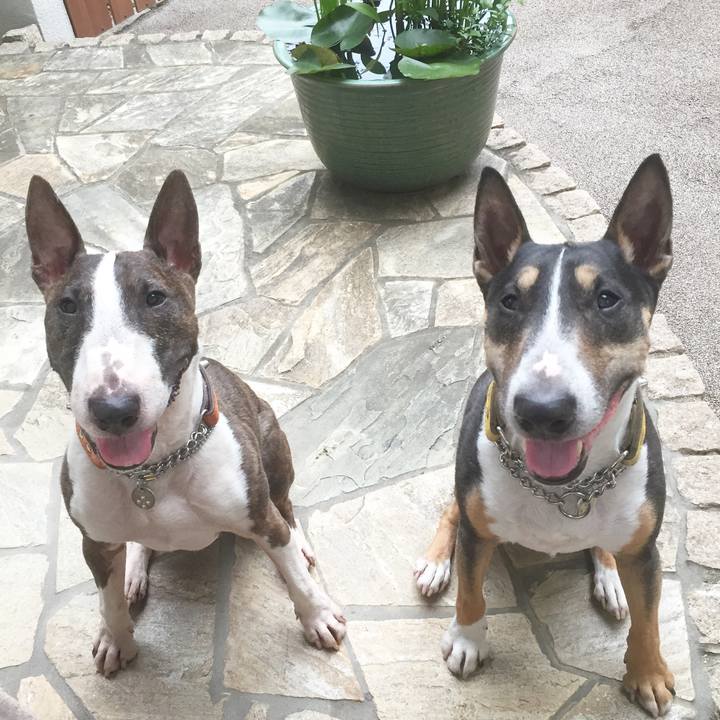 De996a97 80a3 4c9c b056 f6131d876387