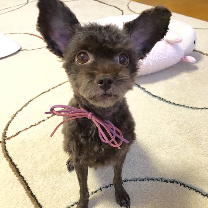 De999c2e 79c5 4ad0 9228 e35c9a72ab6d