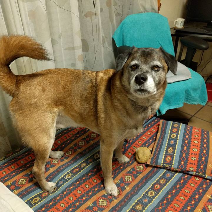 De9a455f 9aac 41a7 8dab 921b22077986