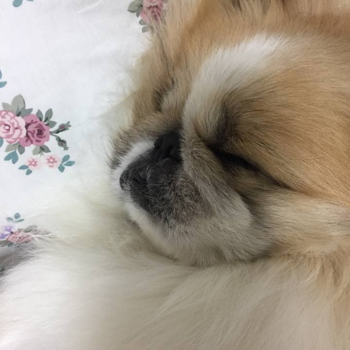 De9a5c00 777e 4469 934b 233e5c8fe745