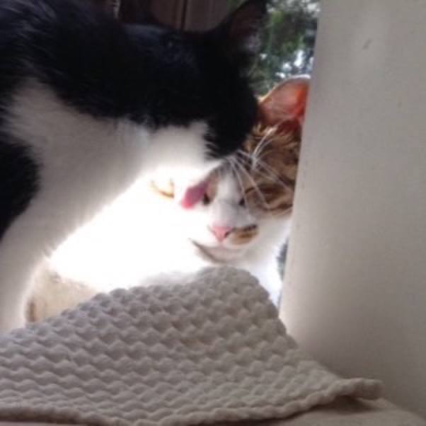 De9a7ee8 ee91 40a5 b074 3e4280ad606d