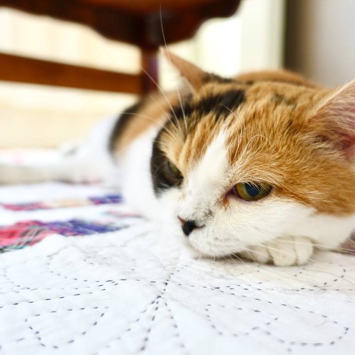 De9b0619 cd80 47de 9ef2 05b71b751e71