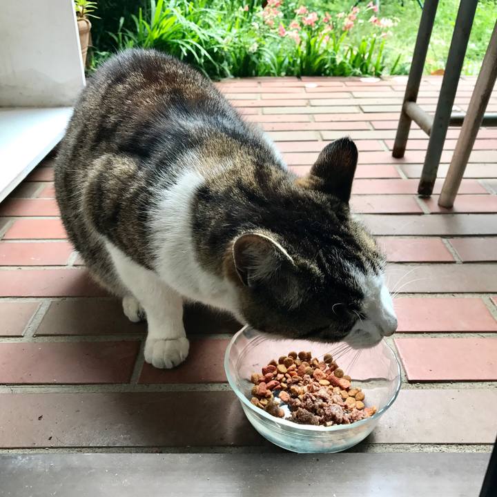 De9b2c53 2746 4cdb 9c93 787cee52e492