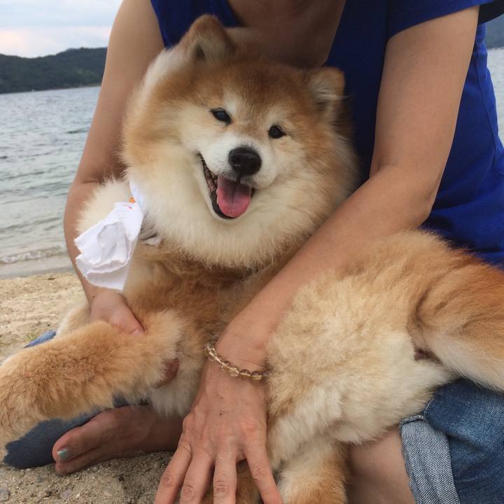 De9b94de 6a80 4cfd 8897 9d0fac99467f