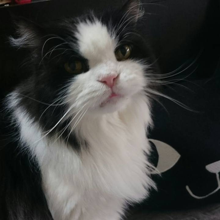 De9bd0f0 9cca 485e 9711 56f1ce711f71