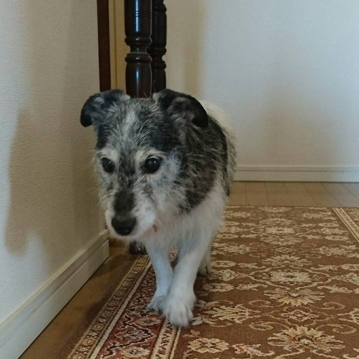 De9c55da 7ad2 4467 8c81 456abc694926