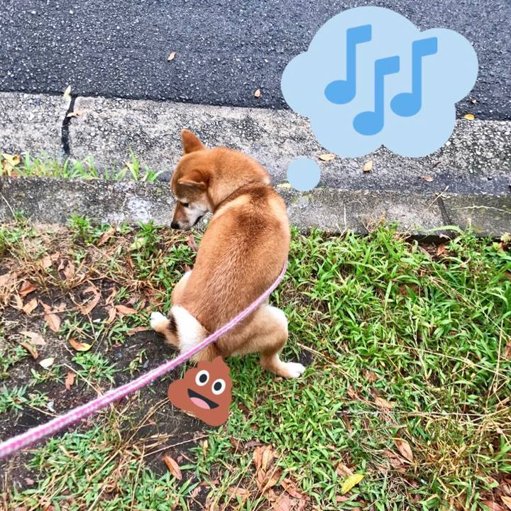 De9d640a a393 4694 b853 99bd2e391997