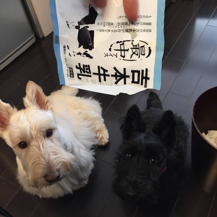 De9e3e45 082d 4ad2 afd0 d544184533b2