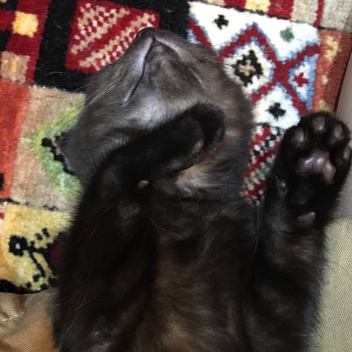 De9ec961 8beb 4749 8acf d55b8528088c