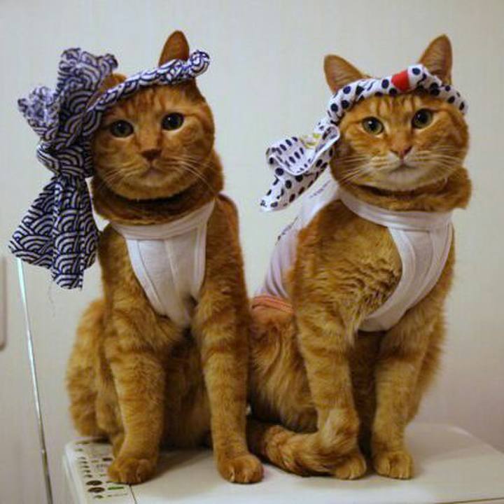 De9f8043 d908 4c09 badb 21cd1e8885a6