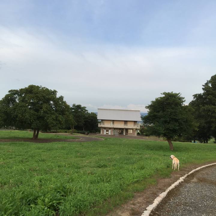 De9fa721 e9f7 492d 9063 4c7740250516