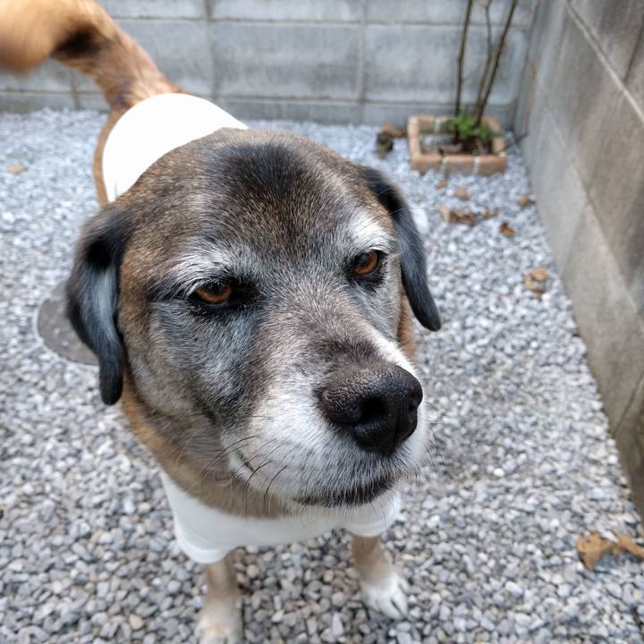 De9fb2d8 8931 4308 9125 b1faee10b7a7