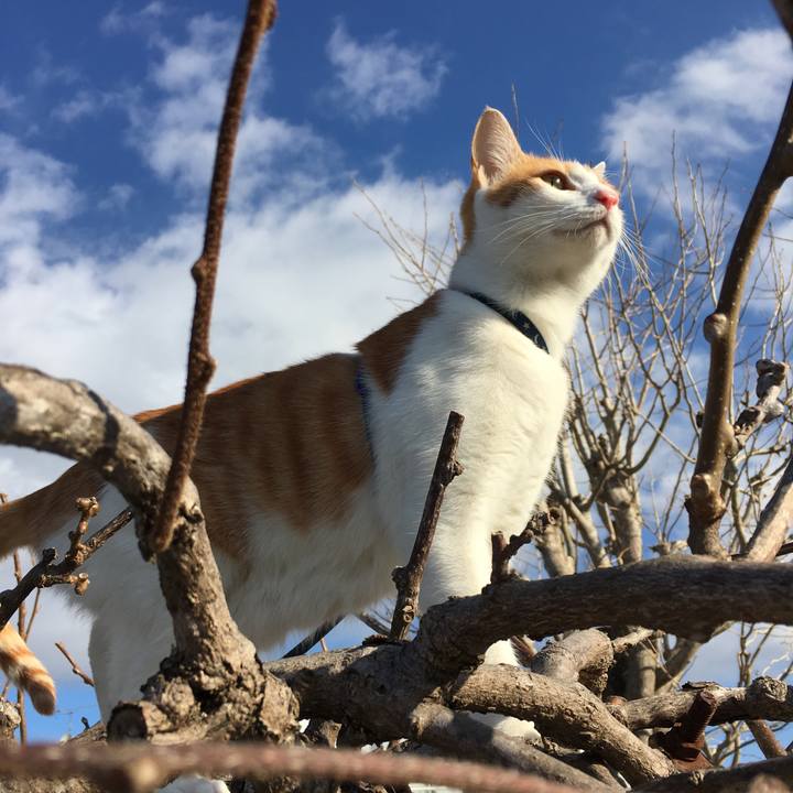 De9fd995 a089 41d1 8e73 3d45ed879d21