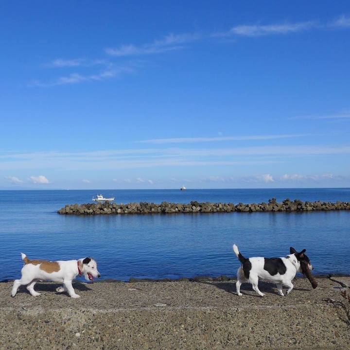 Dea04e80 9e3f 474d a22a 71e134b8a599