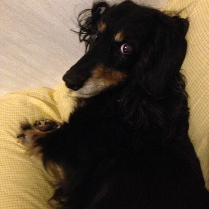 Dea05883 9fe7 4688 bf30 cb7486ecd8ae