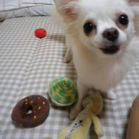 Dea066d6 a769 40a6 8eee 2f763da6b765