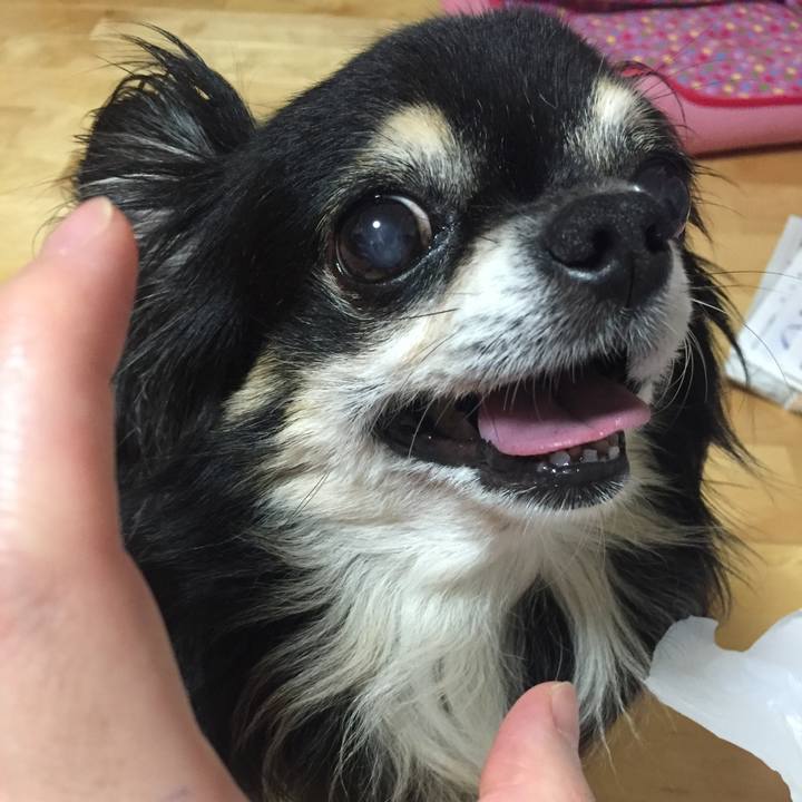 Dea23ea8 ef44 45cd 87aa 16b9b4e1f1e7