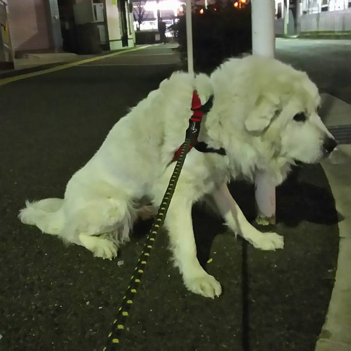 Dea2bfe7 8241 49de 8f8f 536213b8b4a0