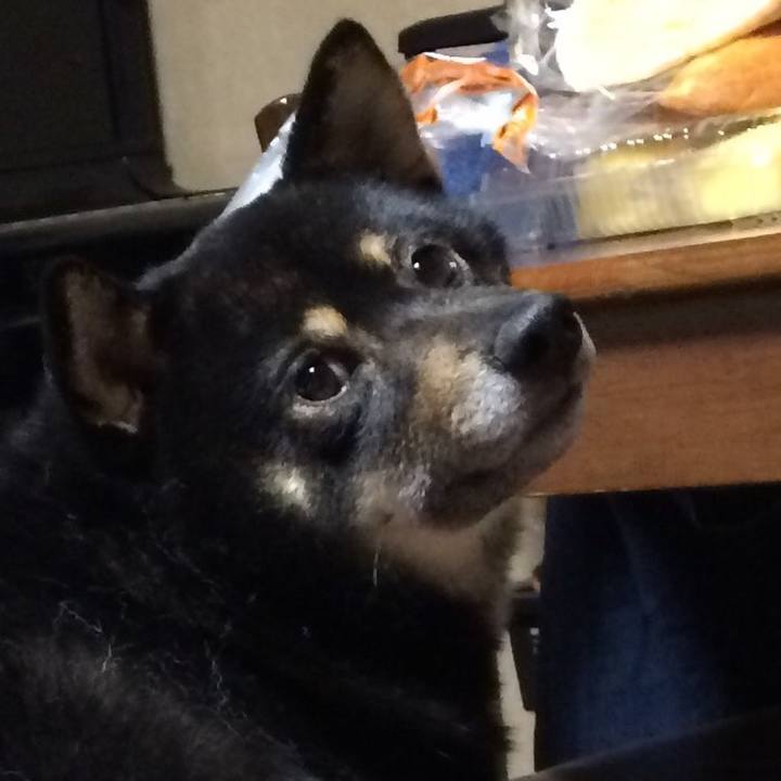 Dea30235 a4a3 459a a14c 5feecbd3922c