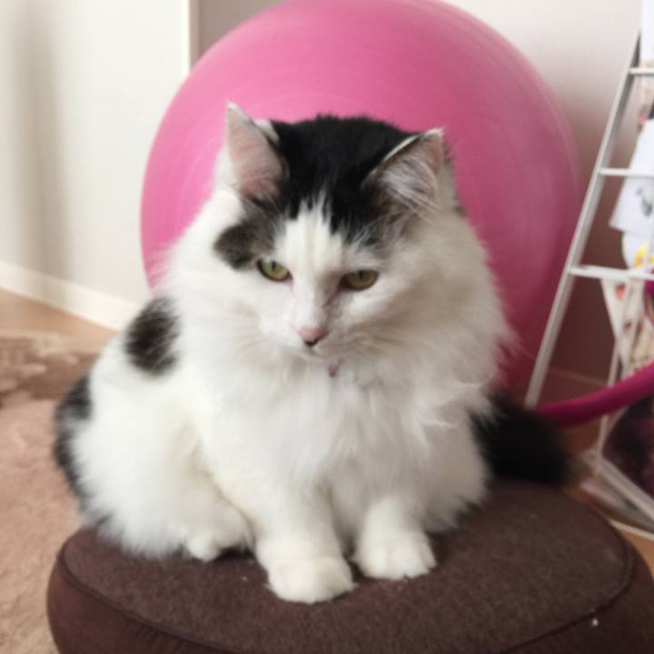 Dea310f7 204b 4783 a1ad 5f29eedf4711