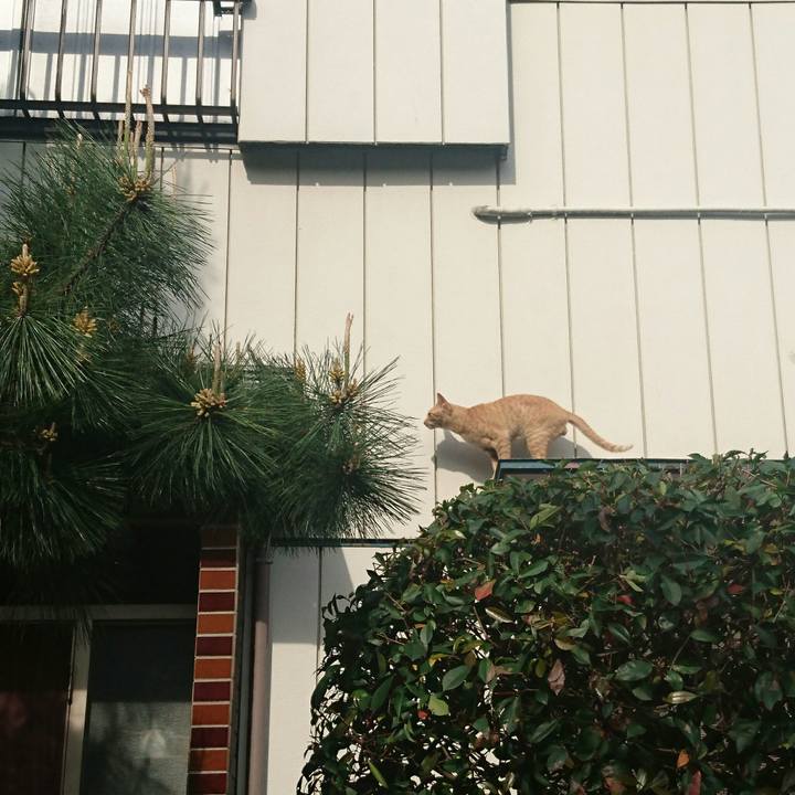 Dea3aec8 0e87 4e04 a4dc cc89ba18ffe6