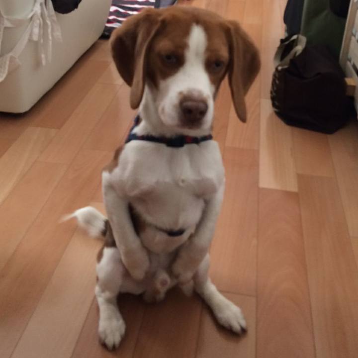 Dea3e6bf c1a5 4cd9 8482 ee743d53244e