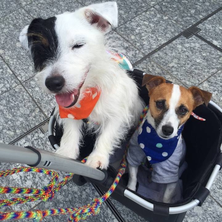 Dea3fb09 b806 4d0e 939e d06b2f0f61af