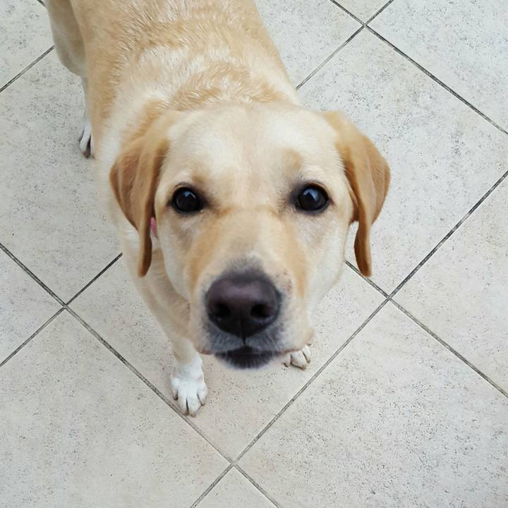 Dea448b6 4959 4740 b47a d16d909b3266