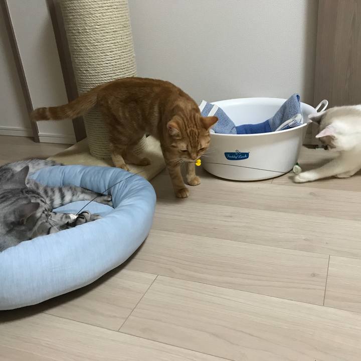 Dea46a28 dcb4 4e2e 8976 59fe636731a6